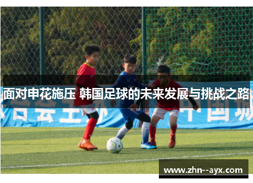 面对申花施压 韩国足球的未来发展与挑战之路
